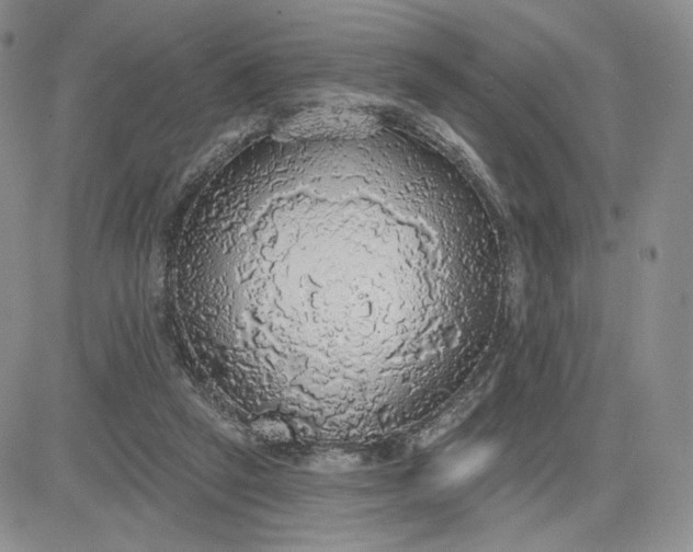 X0000081320257200701251815