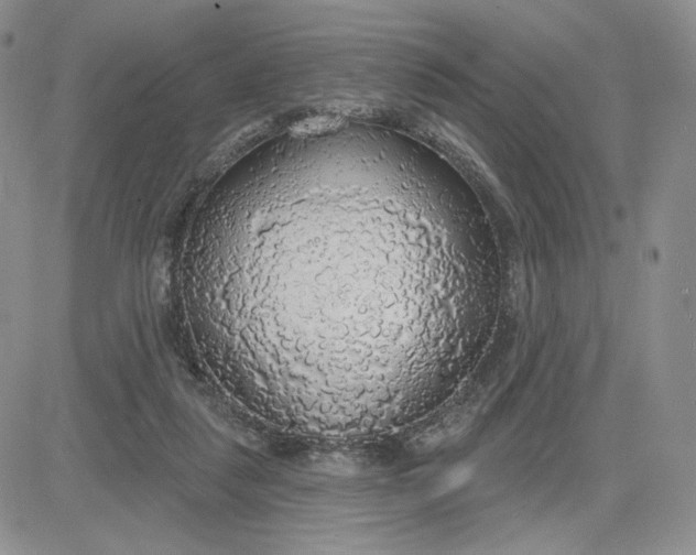 X0000081320259200701251815