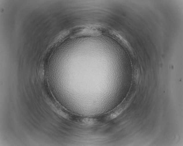 X0000081320261200701251815