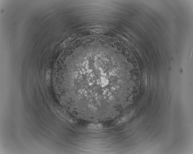 X0000081320271200701251815
