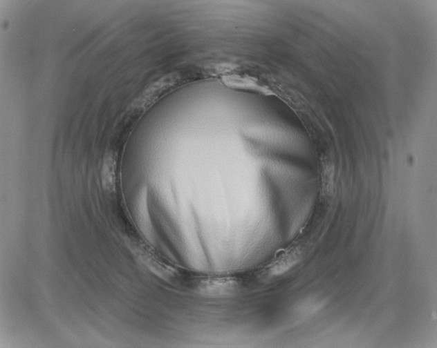 X0000081320274200701251815