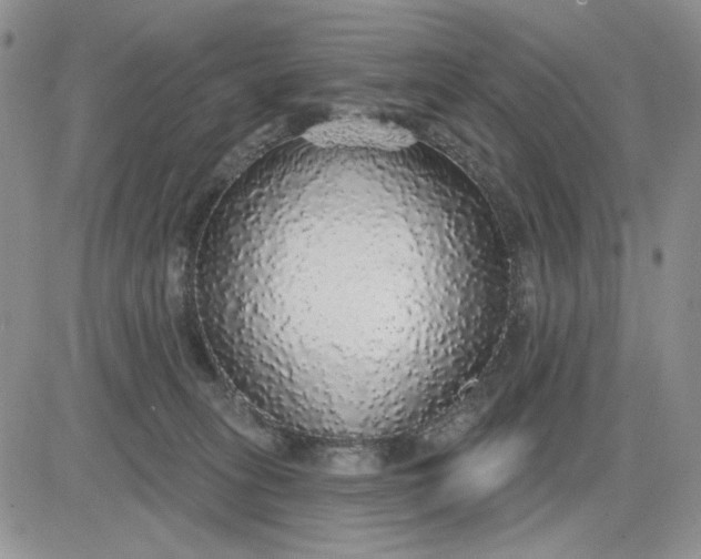 X0000081320275200701251815