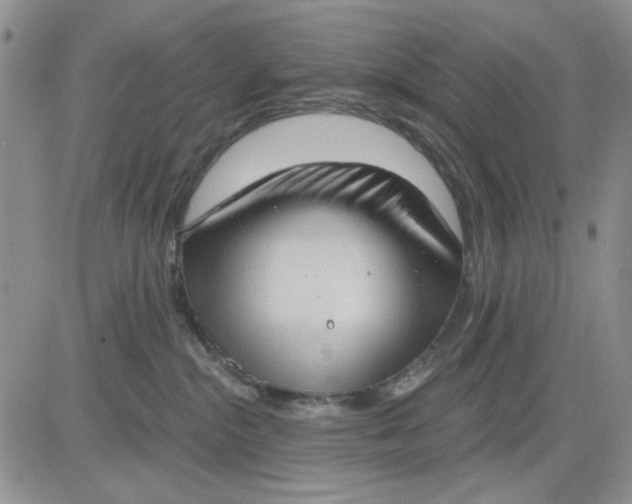 X0000081320284200701251816