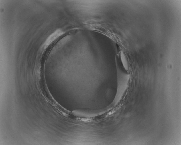 X0000081320295200701251815