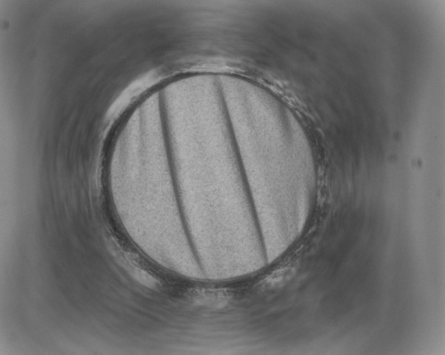 X0000081320296200701251815