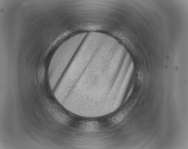 X0000081320304200701251815