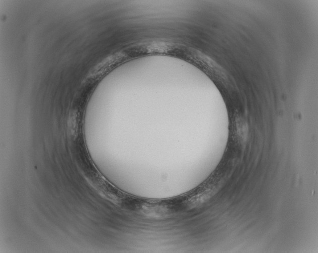 X0000081320311200701251815