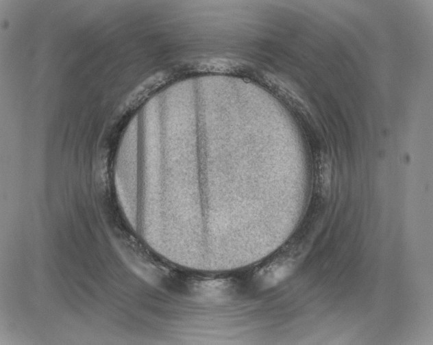 X0000081320312200701251815