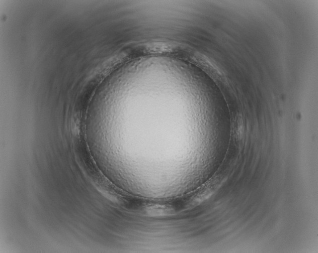 X0000081320315200701251814