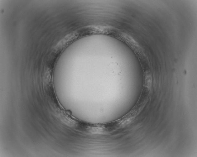 X0000081320318200701251814