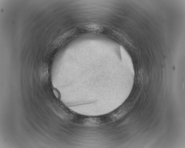 X0000081320320200701251814