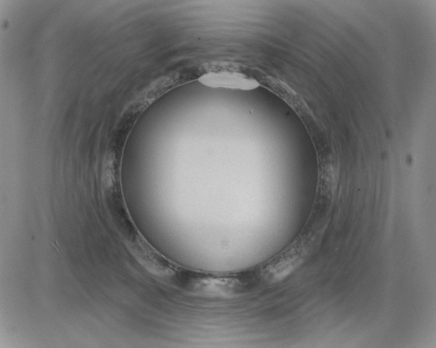 X0000081320323200701251814