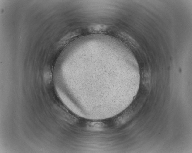 X0000081320324200701251814