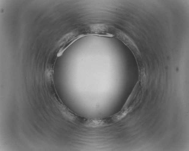 X0000081320329200701251814