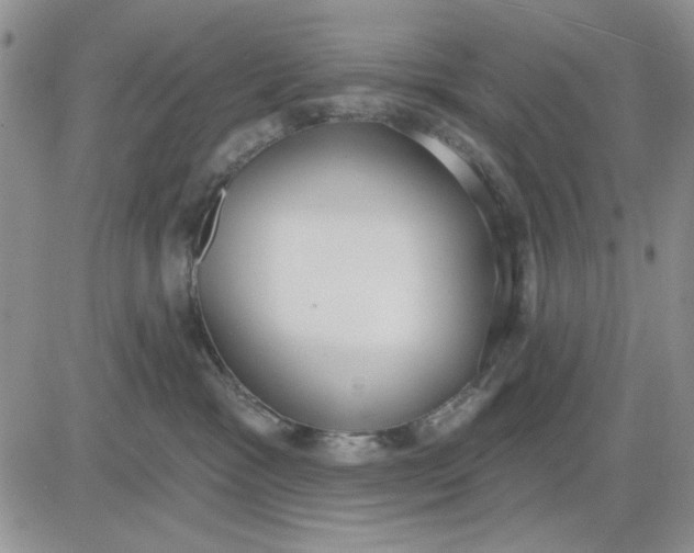 X0000081320333200701251814