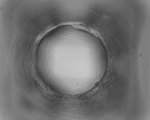 X0000081320337200701251813