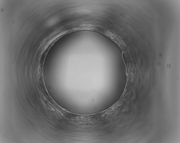 X0000081320338200701251813