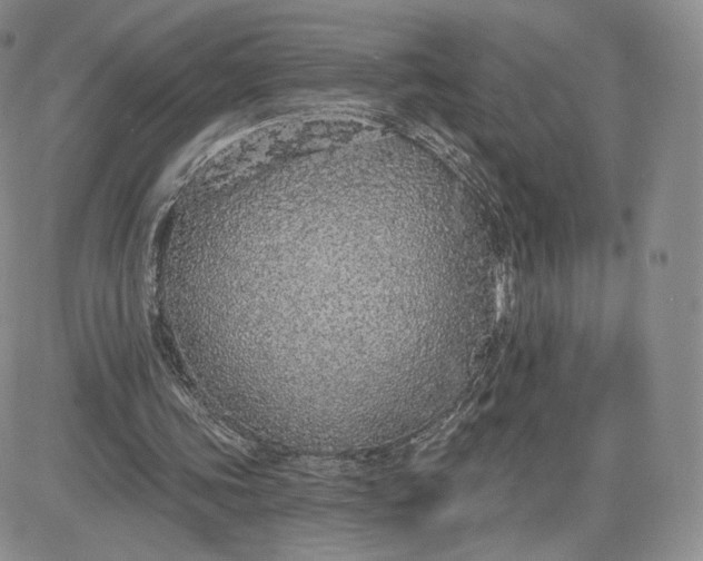 X0000081320339200701251813