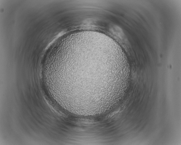 X0000081320347200701251814