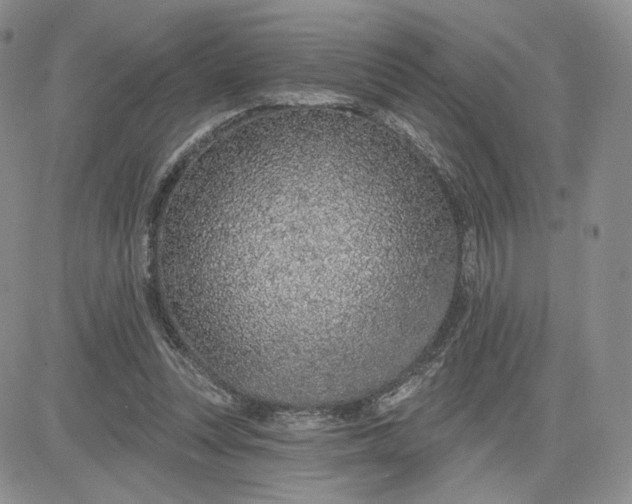 X0000081320351200701251814