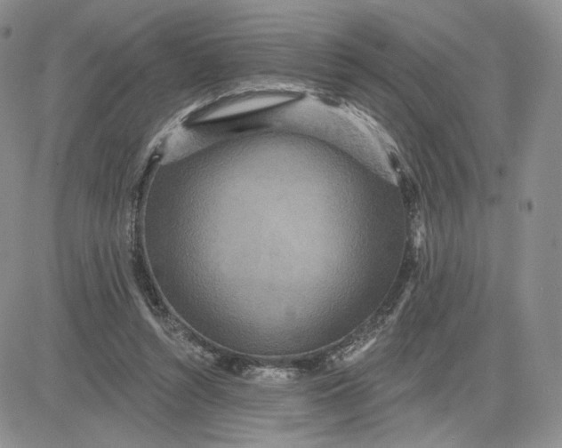 X0000081320352200701251814