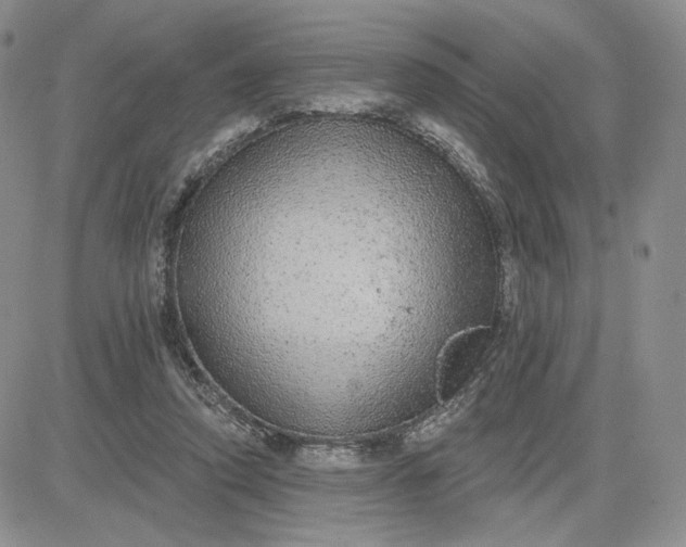 X0000081320354200701251814