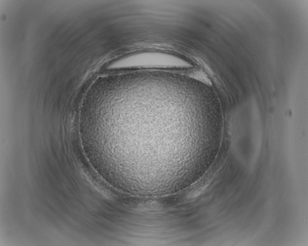 X0000081320357200701251814