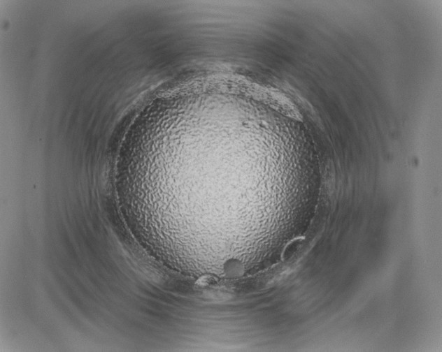 X0000081320359200701251814