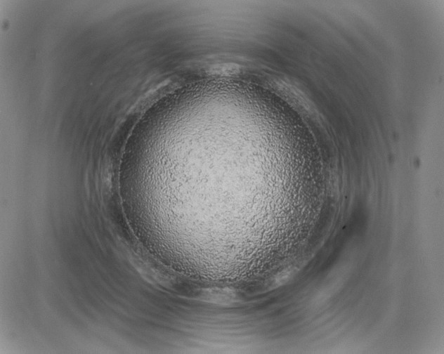X0000081320363200701251814