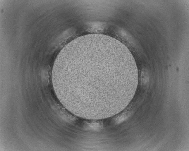 X0000081320370200701251814