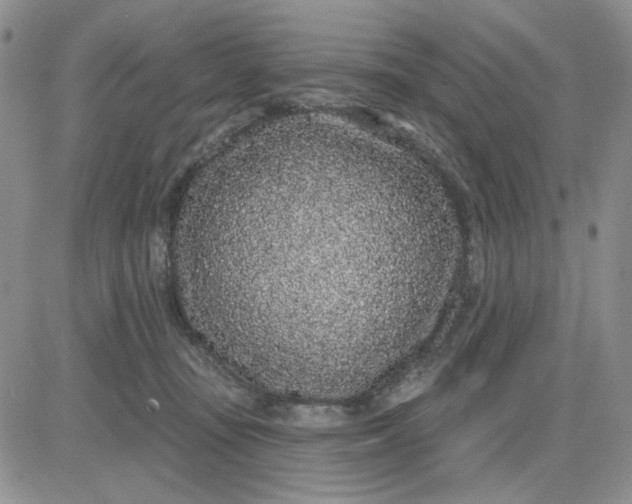 X0000081320371200701251814