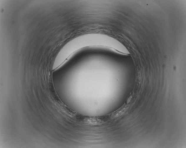 X0000081320372200701251814