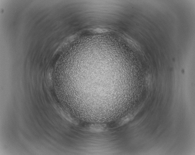 X0000081320373200701251814