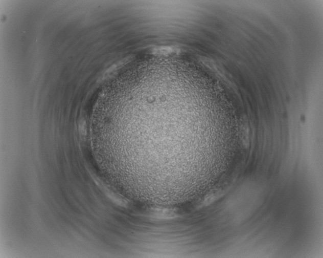 X0000081320375200701251814