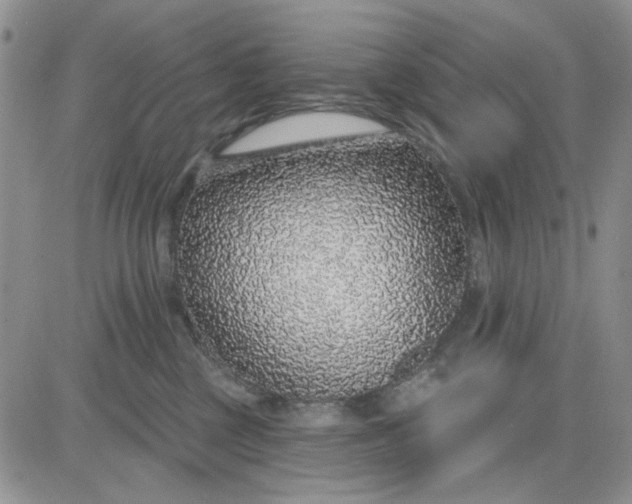 X0000081320377200701251814