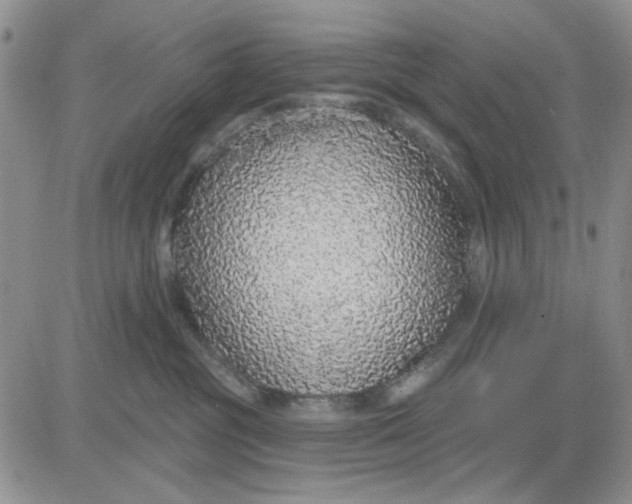 X0000081320381200701251814