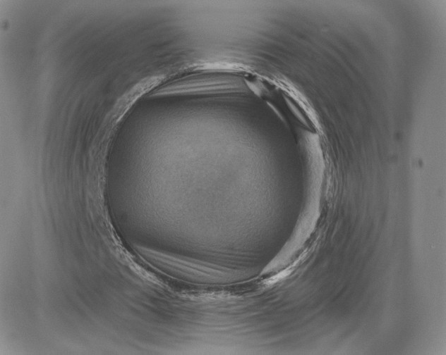 X0000081320385200701251813