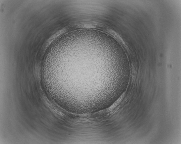 X0000081320386200701251813
