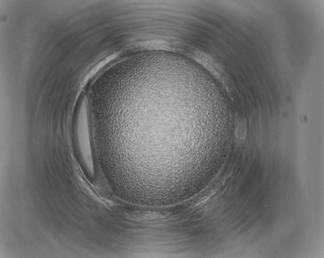 X0000081320390200701251813