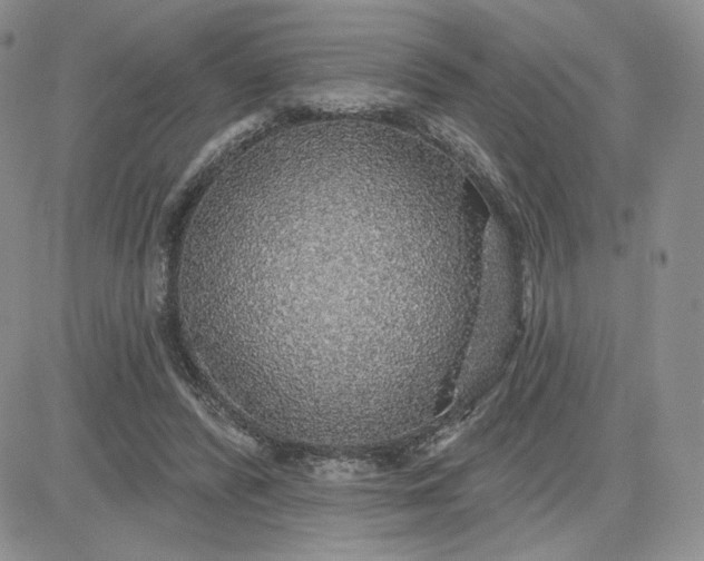 X0000081320400200701251813