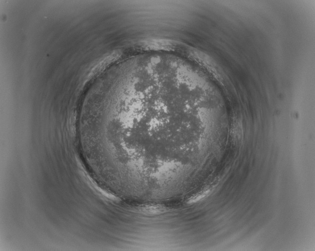 X0000081320402200701251813