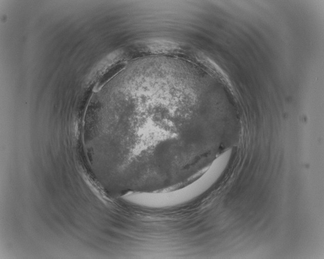 X0000081320405200701251813
