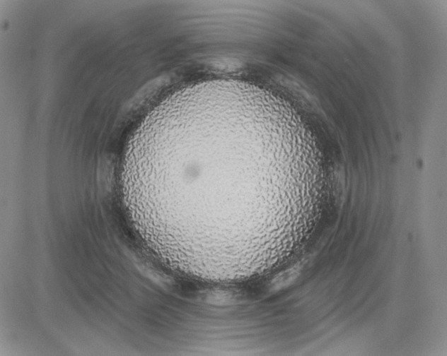 X0000081320412200701251813