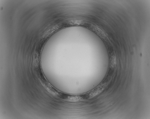 X0000081320414200701251813