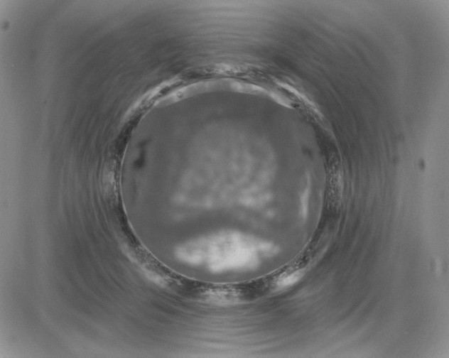 X0000081320415200701251813