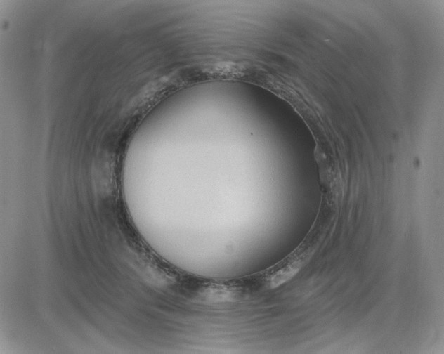 X0000081320416200701251813