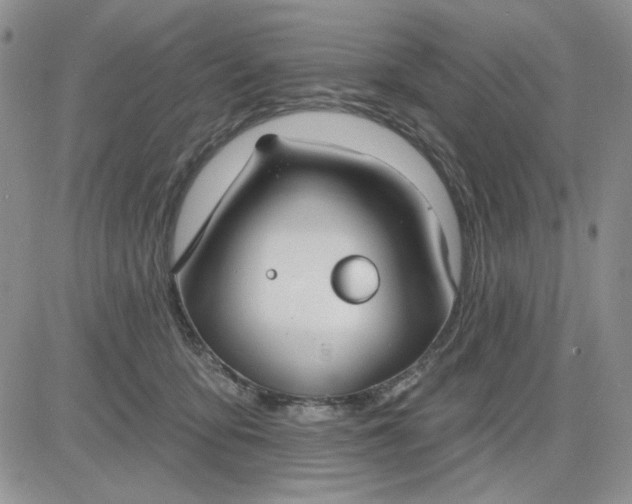 X0000081320419200701251813
