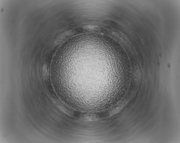 X0000081320420200701251813