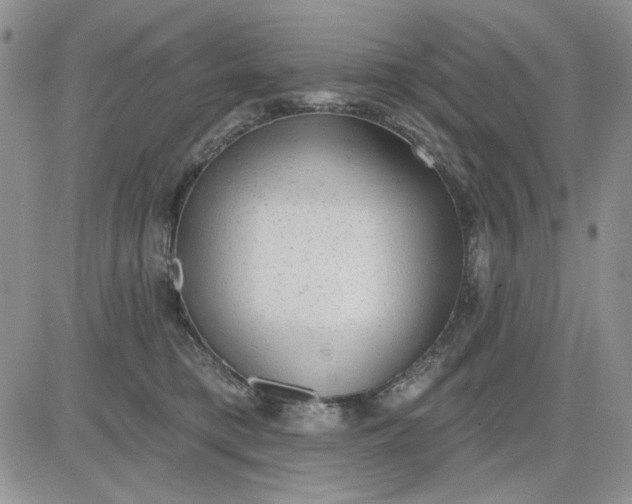 X0000081320421200701251813