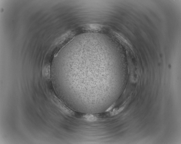 X0000081320425200701251813